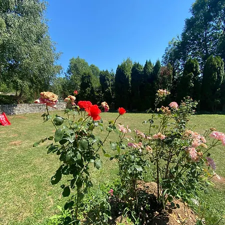 Holiday home Kuca Za Odmor